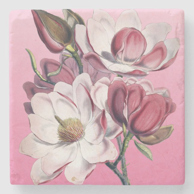 Posavasos De Piedra Magnolia rosa (Anverso)