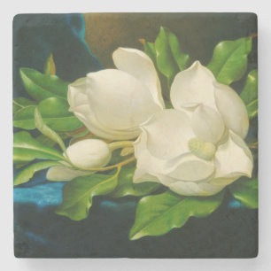 Posavasos De Piedra Magnolias gigantes sobre una tela de terciopelo az