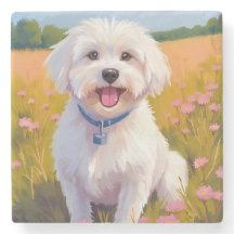 Maltese Dog Flower Field Painting