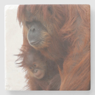 Posavasos De Piedra Mamá y bebé Orangutan