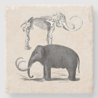 Posavasos De Piedra Mamut Wooly Elefante Prehistórico y Skeleton