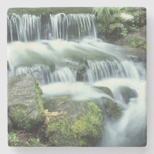 Posavasos De Piedra Manantial de helechos, Parque Nacional Yosemite