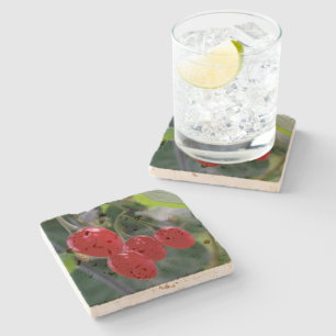 Posavasos De Piedra manchas rojas de otoño