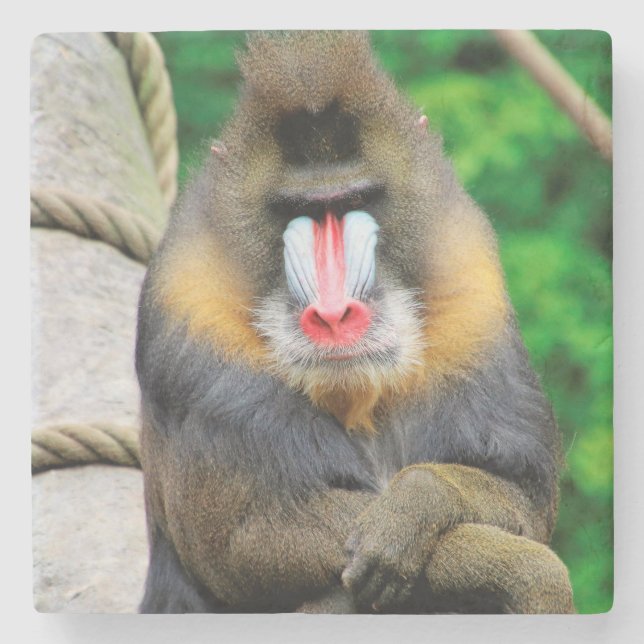Posavasos De Piedra Mandrill 001 (Anverso)