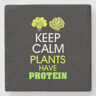 Posavasos De Piedra Mantener Plantas Tranquilas Con Proteína