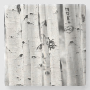 Posavasos De Piedra Mantente alto de Aspen
