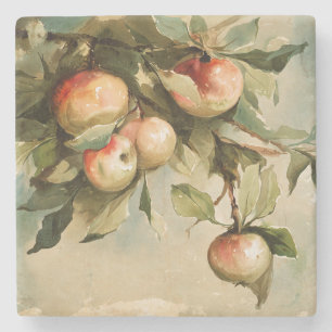 Posavasos De Piedra Manzanas en una rama