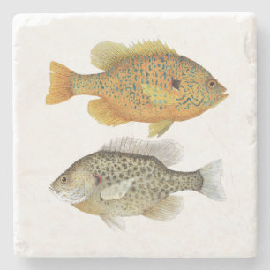 Posavasos De Piedra Máquina de pintar del Sunfish
