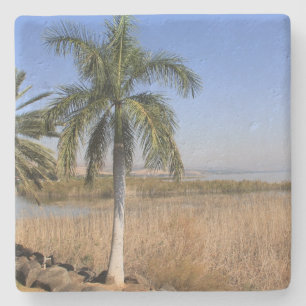 Posavasos De Piedra Mar de Galilea, Coaster Plaza de Israel