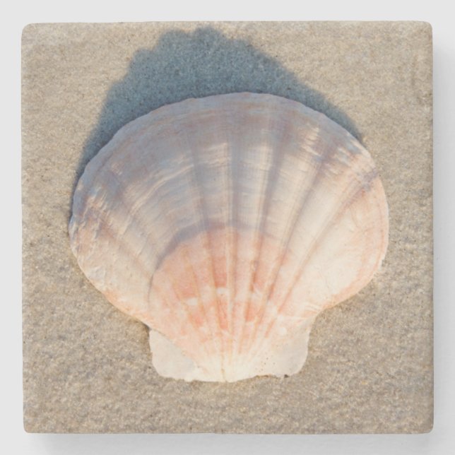 Posavasos De Piedra Mar Shell que pone en la playa de Sandy (Anverso)
