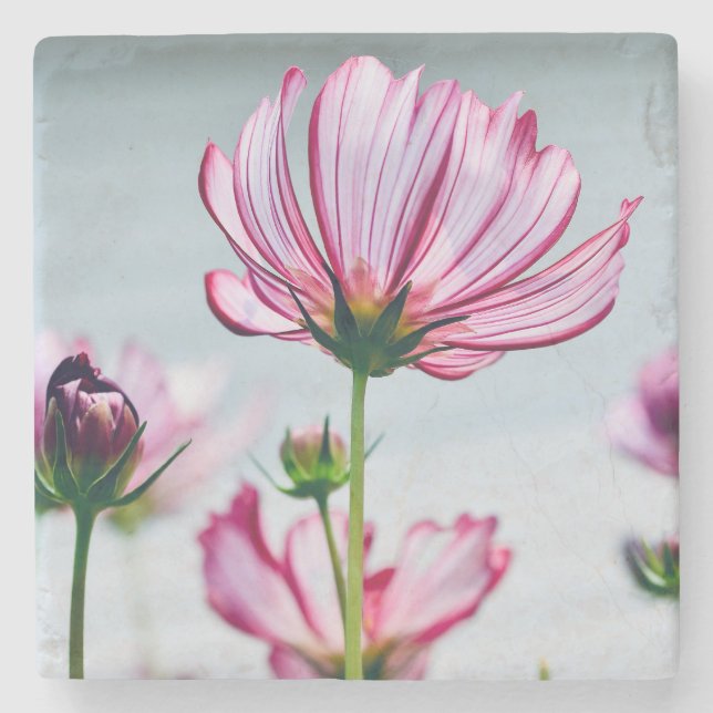 Posavasos De Piedra Marble Cosmos Coaster (Anverso)