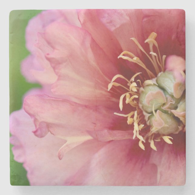 Posavasos De Piedra Marble Peony Coaster (Anverso)