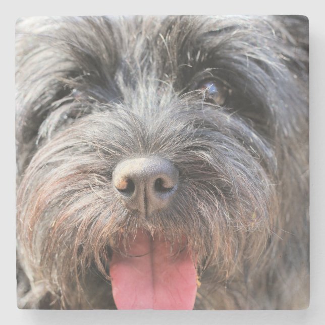 Posavasos De Piedra Mareado (Anverso)