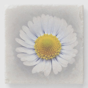 Posavasos De Piedra margarita blanca brillante
