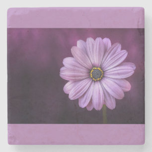 Posavasos De Piedra Margarita morada y lavanda