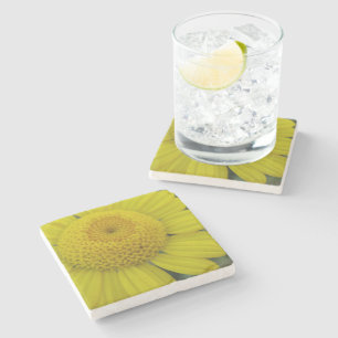 Posavasos De Piedra marguerita amarillo bonito