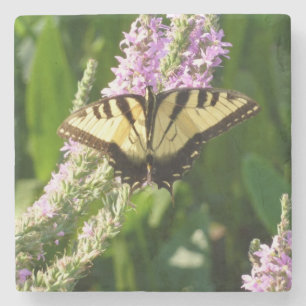 Posavasos De Piedra Mariposa Cola de Golondrina en Flores Silvestres P