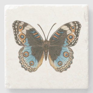 Posavasos De Piedra Mariposa de Blue Pansy