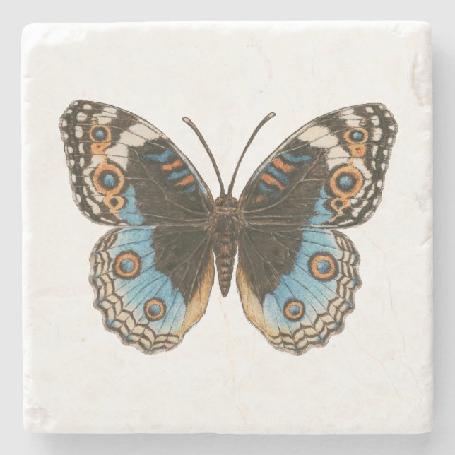 Posavasos De Piedra Mariposa de Blue Pansy (Anverso)