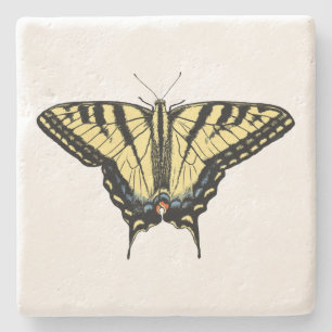Posavasos De Piedra Mariposa de cola de cerda amarilla del suroeste