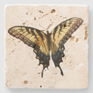 Posavasos De Piedra Mariposa de cola tragaluz III Bella foto colorida