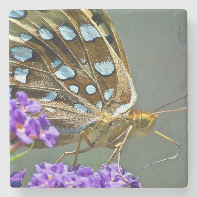 Posavasos De Piedra Mariposa de macro (Anverso)