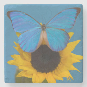 Posavasos De Piedra Mariposa en girasol