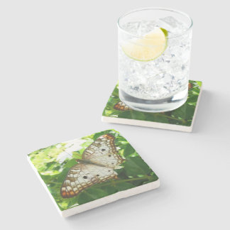 Posavasos De Piedra Mariposa en la fotografía de la naturaleza tropica