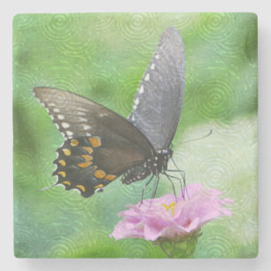 Posavasos De Piedra Mariposa En Zinnia Rosa