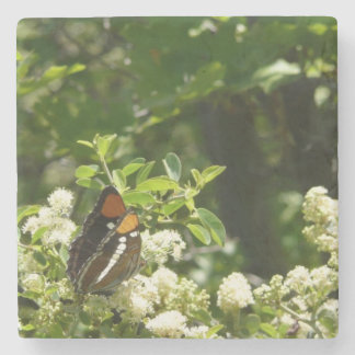 Posavasos De Piedra Mariposa Hermana de California en Yosemite