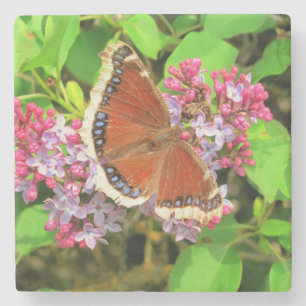 Posavasos De Piedra Mariposa marrón con puntos azules en Lilacs