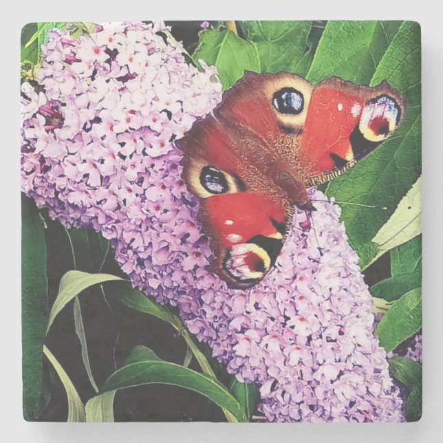 Posavasos De Piedra Mariposa roja (Anverso)