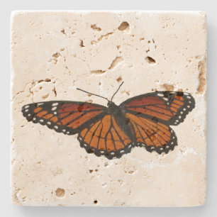 Posavasos De Piedra Mariposa Virrey Fotografía De Naturaleza Hermosa