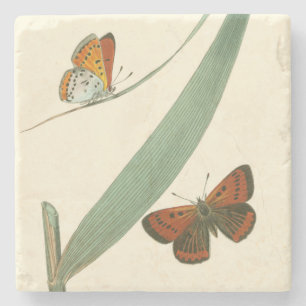Posavasos De Piedra Mariposas coloridas que agitan alrededor de una