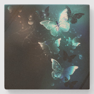 Posavasos De Piedra Mariposas nocturnas