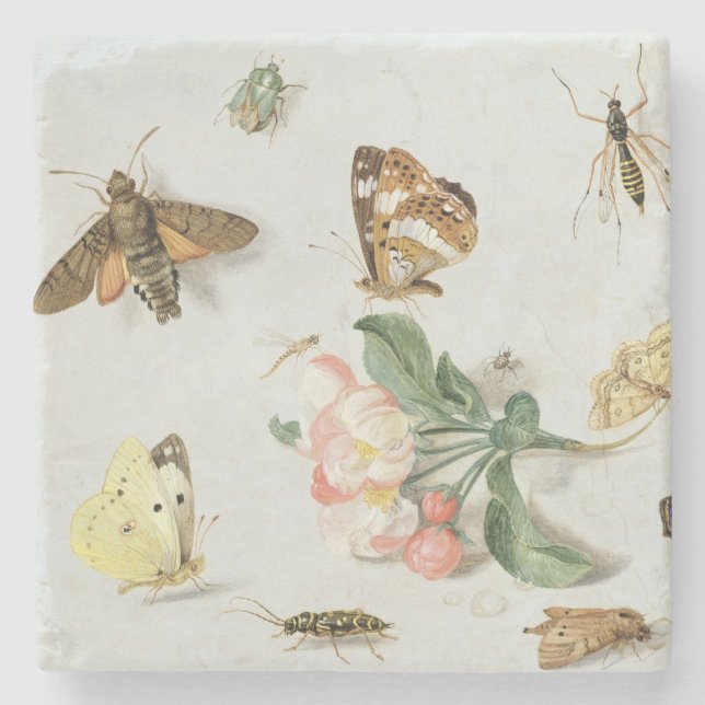 Posavasos De Piedra Mariposas, polillas y otros insectos (Anverso)