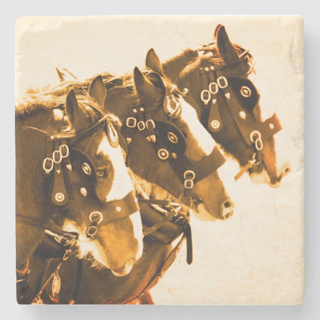 Posavasos De Piedra Mármol clásico de Clydesdale (Anverso)