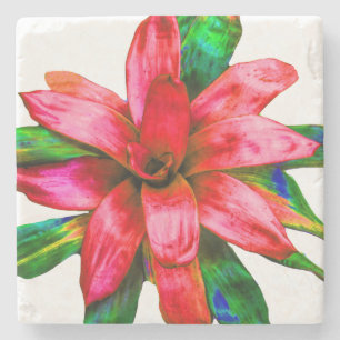 Posavasos De Piedra Mármol de la escoba de la Bromelida Roja