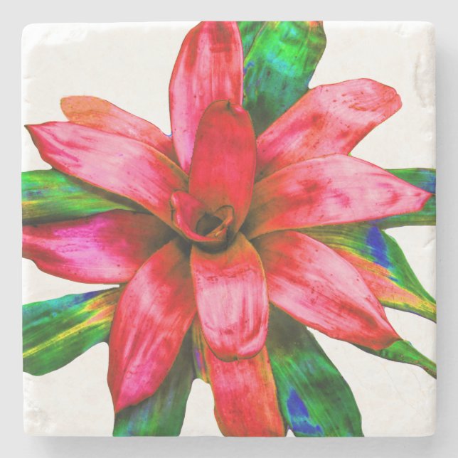 Posavasos De Piedra Mármol de la escoba de la Bromelida Roja (Anverso)