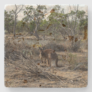 Posavasos De Piedra Marrón y salvaje Bush australiano canguro,
