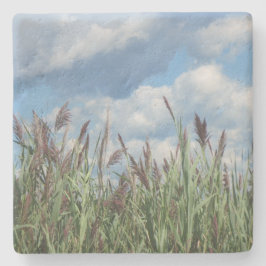 Posavasos De Piedra Marsh Grass