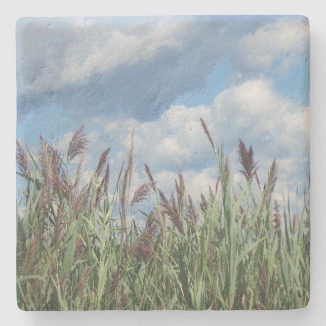 Posavasos De Piedra Marsh Grass (Anverso)