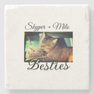 Posavasos De Piedra Mascotas amigos bestias agregar nombre mascota fot