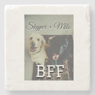 Posavasos De Piedra Mascotas amigos bestias agregar nombre mascota fot
