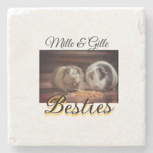 Posavasos De Piedra Mascotas amigos bestias agregar nombre mascota fot
