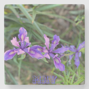 Posavasos De Piedra May Iris