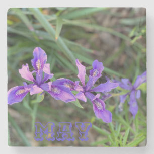 Posavasos De Piedra May Iris