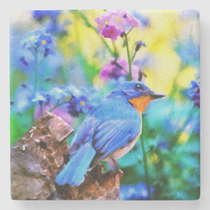 Posavasos De Piedra Meadow Melody