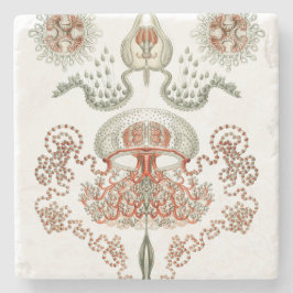 Posavasos De Piedra Medusas acuáticas del ~ de Haeckel del ~ de la