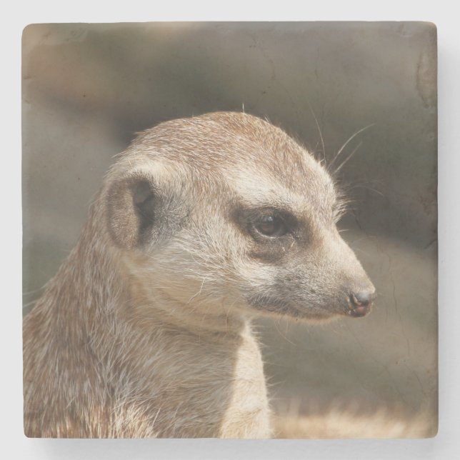 Posavasos De Piedra Meerkat 048 (Anverso)